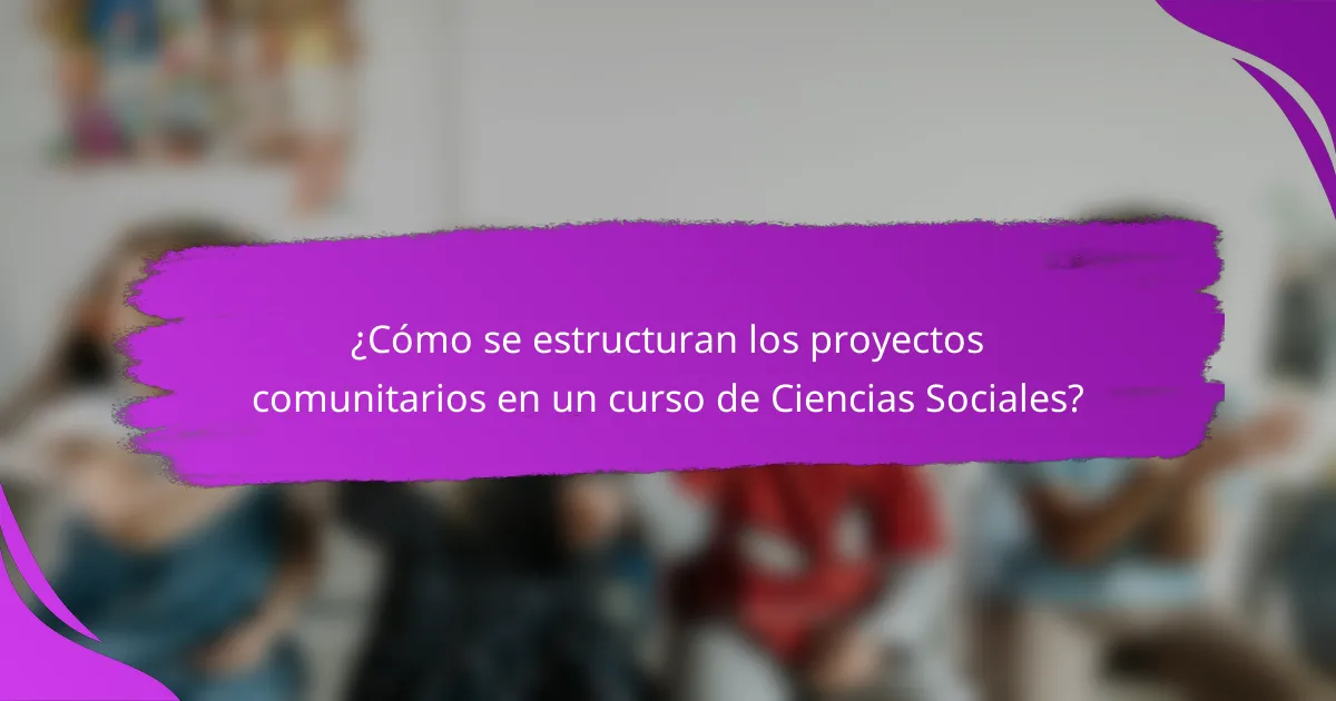 ¿Cómo se estructuran los proyectos comunitarios en un curso de Ciencias Sociales?